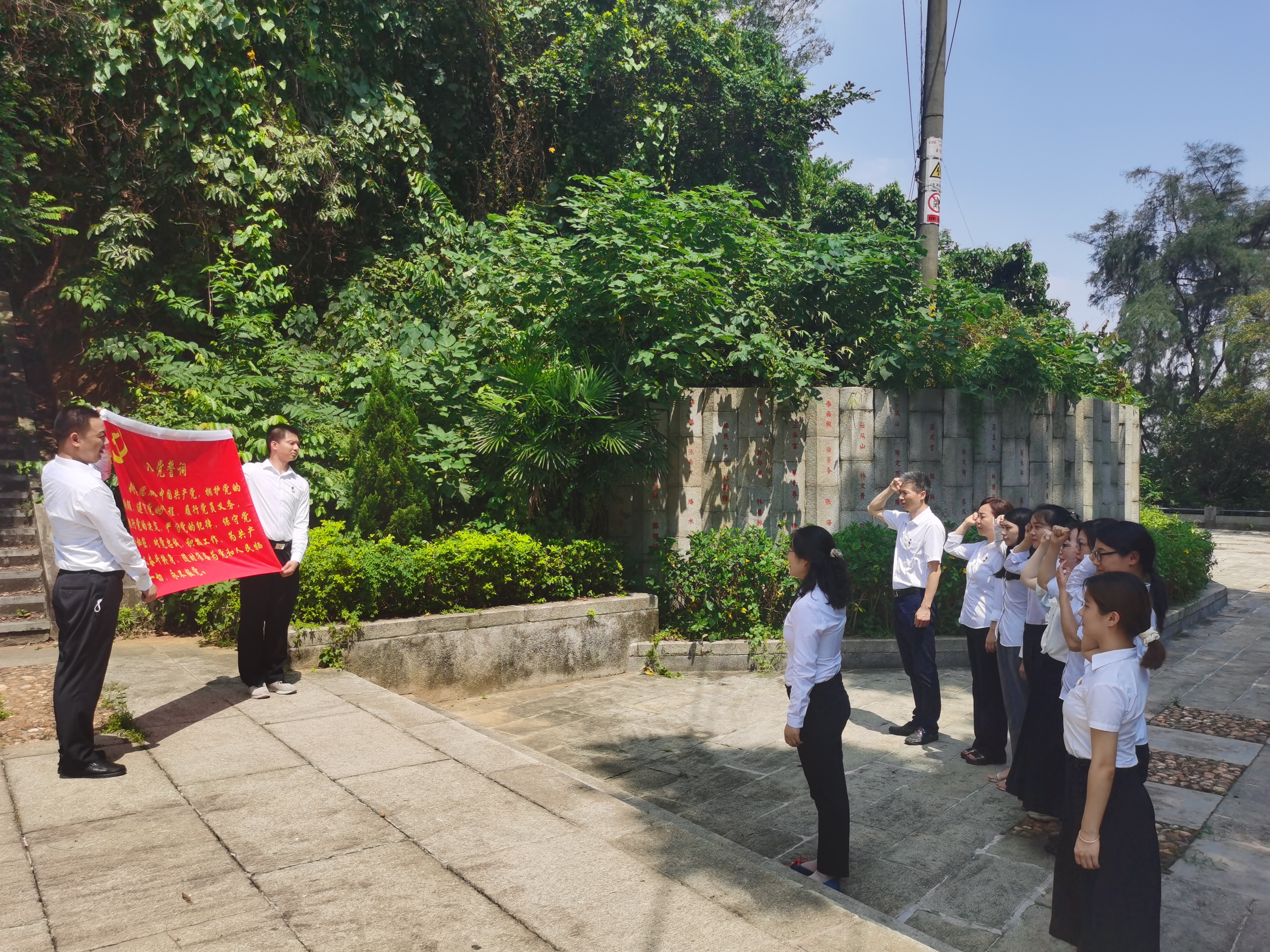 采聯集團黨支部介紹